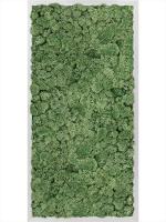 Картина из мха aluminum 100% reindeer moss (moss green) L40 W80 H6 см CMSS00354