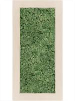 Картина из мха polystone natural 100% reindeer moss (moss green) L100 W50 H5 см CMSS00620