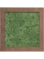 Картина из мха polystone rock 100% reindeer moss (moss green) L70 W70 H5 см CMSS00649