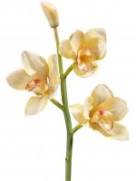Орхидея Цимбидиум (ветвь) нежно-золотистая малая искусственная 30.0611084YL