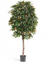 Мандариновое дерево Оранж с плодами искусственное 10.40004N