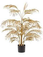 Areca bush gold (27 lvs.) W60 H105 см 8EE426339