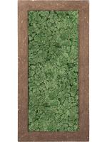 Картина из мха polystone rock 100% reindeer moss (moss green) L100 W50 H5 см CMSS00655
