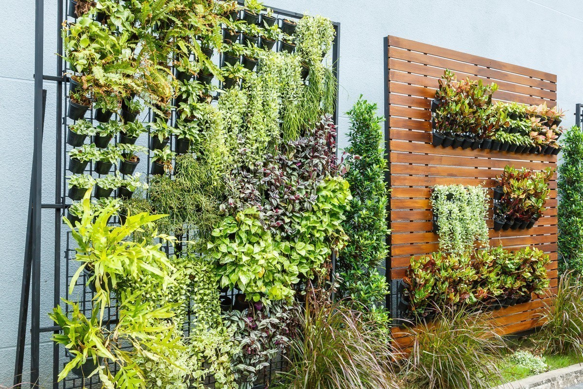 Как Создать Вертикальный Сад в Вашем Доме: Идеи и Рекомендации