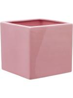 Кашпо Basic square shiny pink L17 W17 H17 см 6DMP204SP