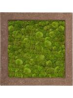 Картина из мха polystone rock 100% ball moss L70 W70 H5 см CMSS00645