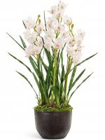 Орхидея Цимбидиум белая с имитацией земли (без кашпо) искусственная 20.0619233WH