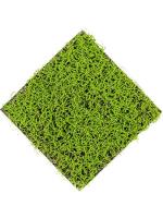 Grass green L50 W50 см 8EE425524