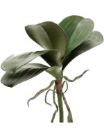 Листья орхидеи фаленопсис с корнями искусственные H30 см 8EEG18180