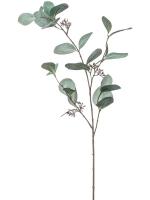 Ветка Эвкалипта с серо-зелеными листьями искусственная H73 см 8EE427341