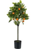Orange tree branched H75 см 8EE425561