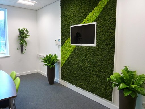 Озеленение офиса