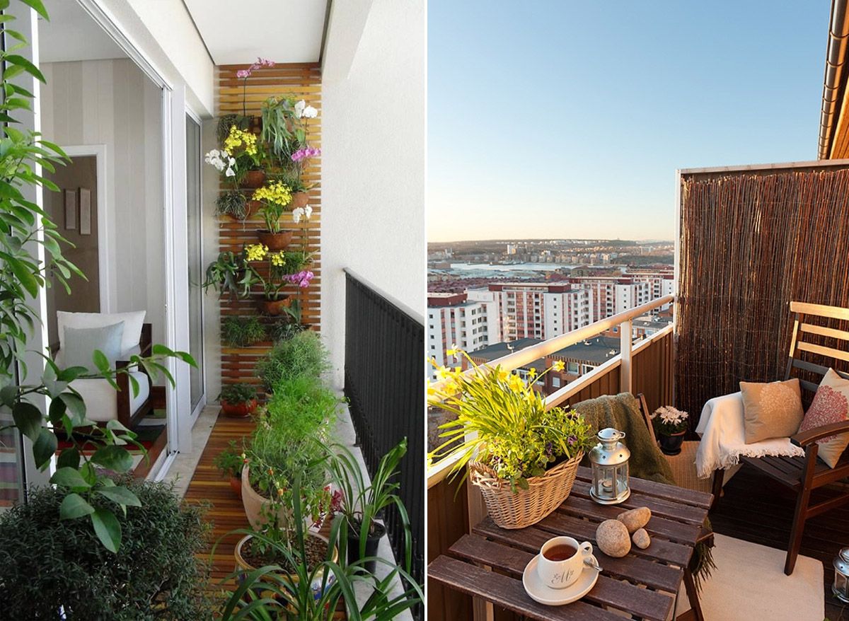Озеленение на балконе: Создание уюта с помощью горшковых растений