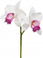 Орхидея Каттлея (ветвь) белая с тёмно-розовым язычком искусственная 30.0616198WH