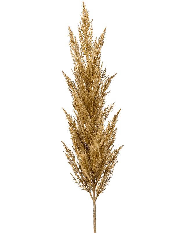 Grass `pampas branch beige H115 см.