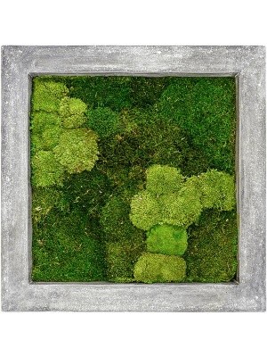 Картина из мха polystone raw grey 30% ball- and 70% flat moss L70 W70 H5 см CMSS00238
