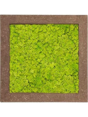 Картина из мха polystone rock 100% reindeer moss (spring green) L70 W70 H5 см CMSS00648