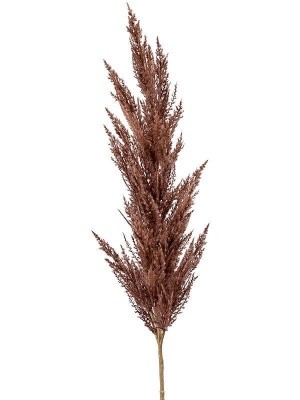 Grass pampas branch brown H115 см 8EE425499
