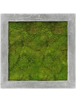 Картина из мха polystone raw grey 100% flat moss L50 W50 H5 см CMSS00230