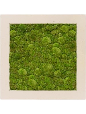 Картина из мха polystone natural 100% ball moss L70 W70 H5 см CMSS00622