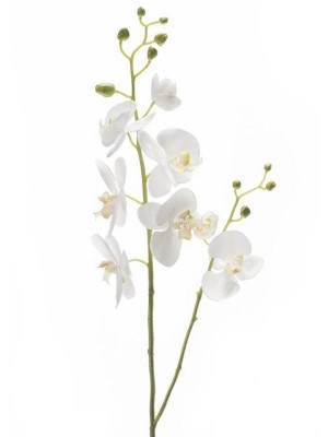 Орхидея фаленопсис двойная ветвь белая искусственная H95 см 8EEG75948