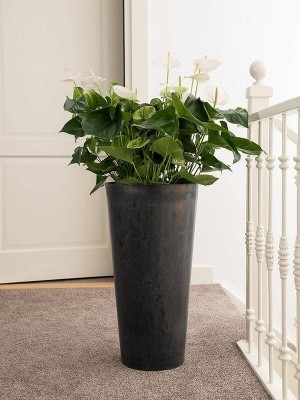 Кашпо Artstone claire vase black D37 H70 см 6ARTRZV25