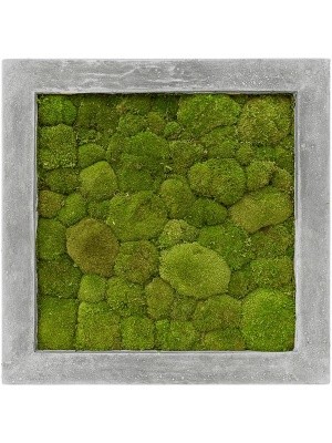 Картина из мха polystone raw grey 100% ball moss L50 W50 H5 см CMSS00231