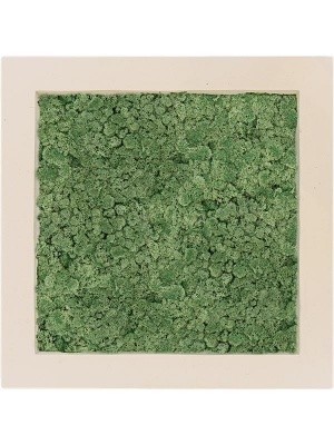 Картина из мха polystone natural 100% reindeer moss (moss green) L70 W70 H5 см CMSS00626
