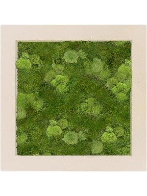 Картина из мха polystone natural 30% ball- and 70% flat moss L70 W70 H5 см CMSS00624