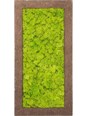 Картина из мха polystone rock 100% reindeer moss (spring green) L100 W50 H5 см CMSS00654