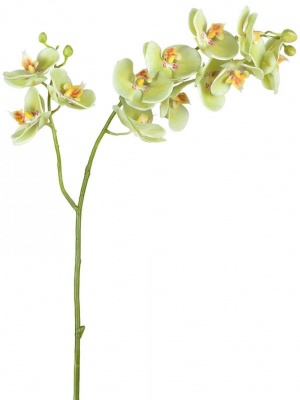 Орхидея Фаленопсис (ветвь) светлый лайм двойная искусственная 30.0614165LYG