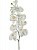 Орхидея фаленопсис ветвь белая искусственная H100 см 8EEG16675