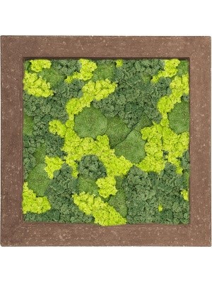 Картина из мха polystone rock 30% ball moss 70% reindeer moss (mix) L70 W70 H5 см CMSS00650