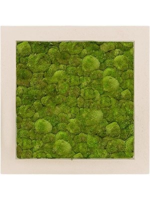 Картина из мха polystone natural 100% ball moss L50 W50 H5 см CMSS00610