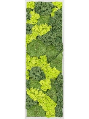 Картина из мха aluminum 30% ball moss 70% reindeer moss (mix) L40 W120 H6 см CMSS00337
