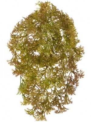 Рясковый мох (Вотер-грасс) куст светло-коричнево-зелёный искусственный 20.071617-BR