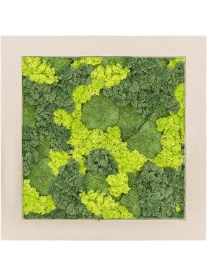 Картина из мха polystone natural 30% ball moss 70% reindeer moss (mix) L50 W50 H5 см CMSS00615