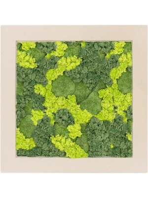 Картина из мха polystone natural 30% ball moss 70% reindeer moss (mix) L70 W70 H5 см CMSS00627