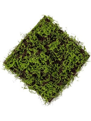 Grass moss green/brown matt L50 W50 см 8EE425522