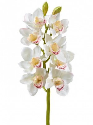 Орхидея Цимбидиум (ветвь) белая средняя искусственная 30.0611085WH