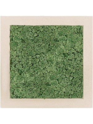 Картина из мха polystone natural 100% reindeer moss (moss green) L50 W50 H5 см CMSS00614