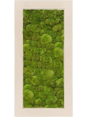 Картина из мха natural 100% ball moss L100 W50 H5 см CMSS00616
