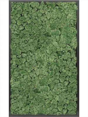 Картина из мха mdf ral 9005 satin gloss 100% reindeer moss (moss green) L60 W100 H6 см CMSS00512