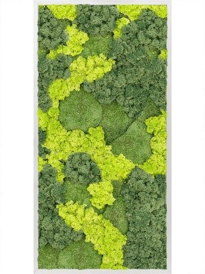Картина из мха aluminum 30% ball moss 70% reindeer moss (mix) L60 W120 H6 см CMSS00331