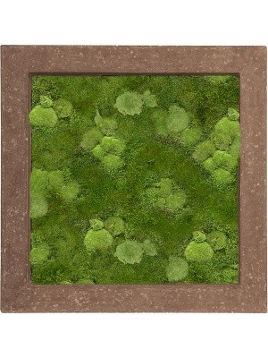 Картина из мха polystone rock 30% ball- and 70% flat moss L70 W70 H5 см CMSS00647