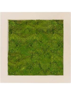 Картина из мха polystone natural 100% flat moss L70 W70 H5 см CMSS00623