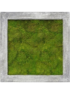 Картина из мха polystone raw grey 100% flat moss L70 W70 H5 см CMSS00237