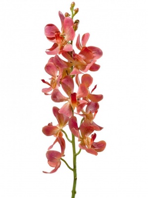 Орхидея Дендробиум (ветвь) кораллово-розовая искусственная 30.0610049LOR