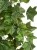 Плющ Английский Олд Тэмпл Биг крупнолистный зелёный искусственный 20.05190262N-M