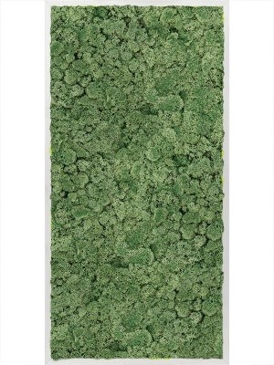 Картина из мха aluminum 100% reindeer moss (moss green) L60 W120 H6 см CMSS00330
